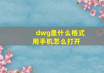 dwg是什么格式 用手机怎么打开